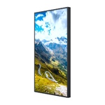 Рекламный монитор для помещений 55 дюймов Hisense 55WF45H